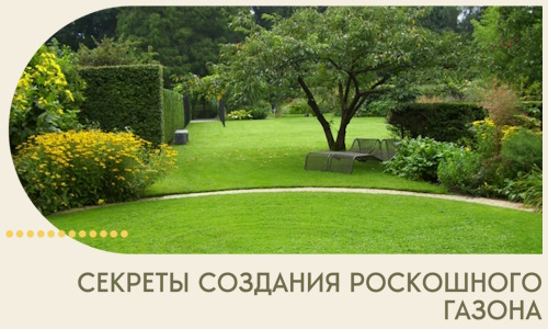 Секреты создания роскошного газона в Ишимбае